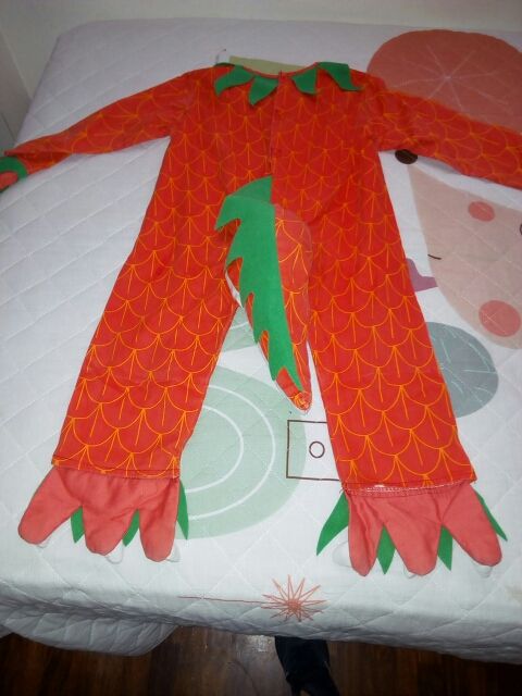Disfraz Dragón talla 1-2 años . Usado