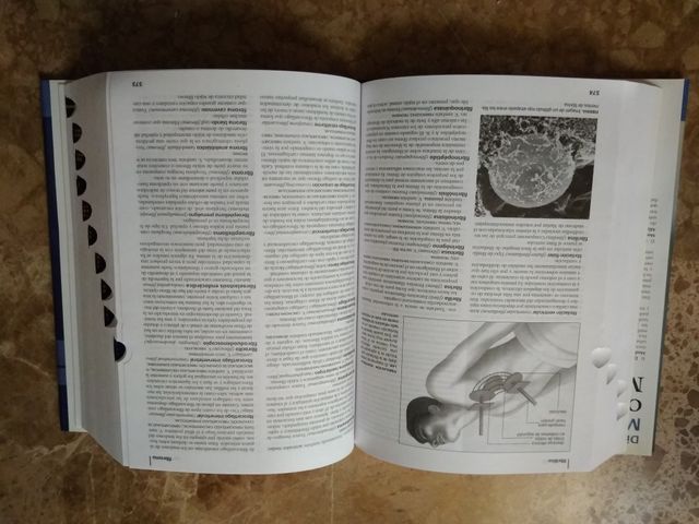 diccionario medicina