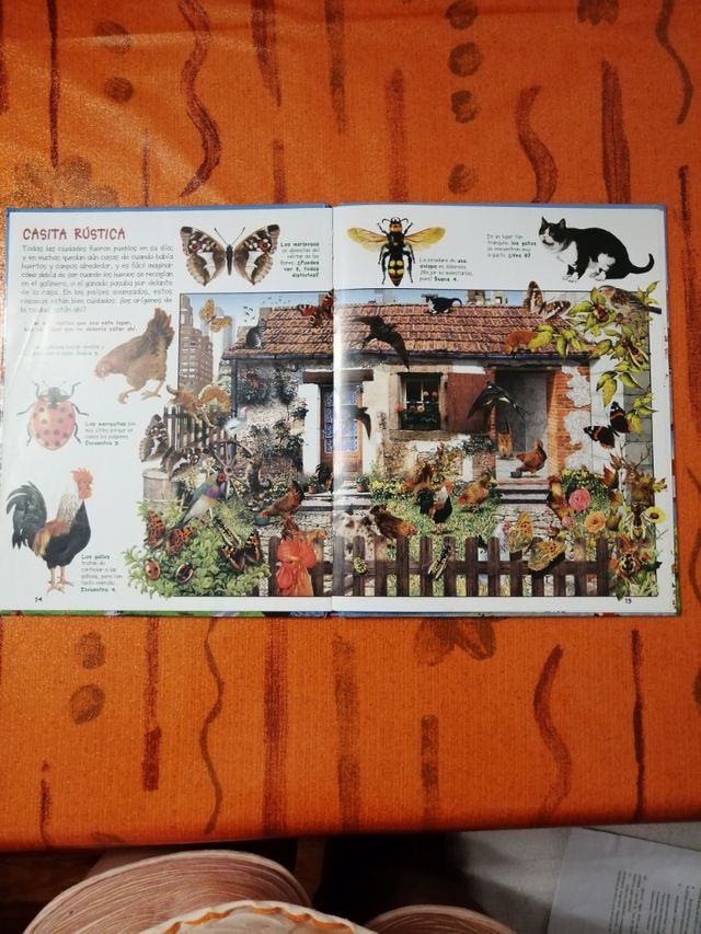 libros :Busca los animales en......c/u