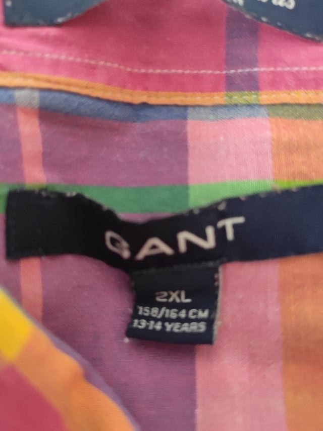 CAMISA GANT