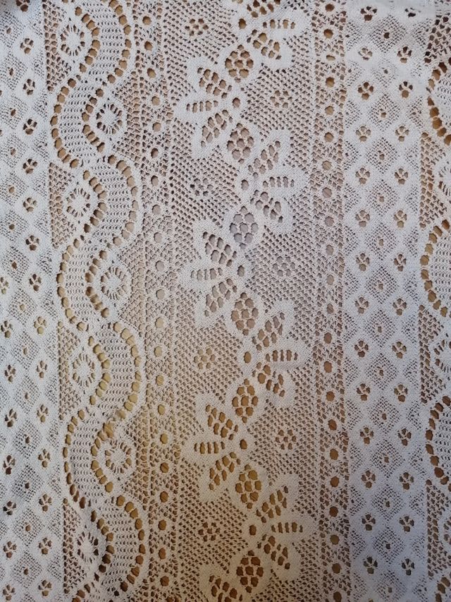 Chaqueta Hollister S-XS