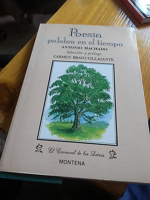libro de poesia