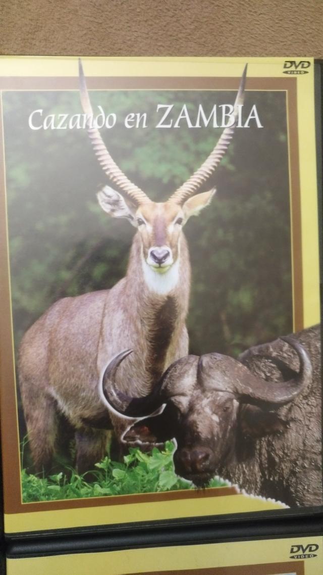 coleccion de caza en africa