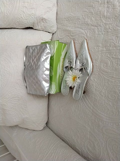 Conjunto de bolso y zapatos