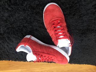 gazelle rojos
