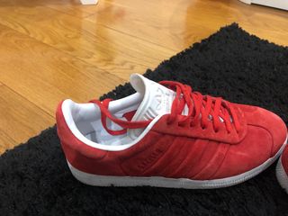 gazelle rojos