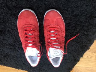 gazelle rojos