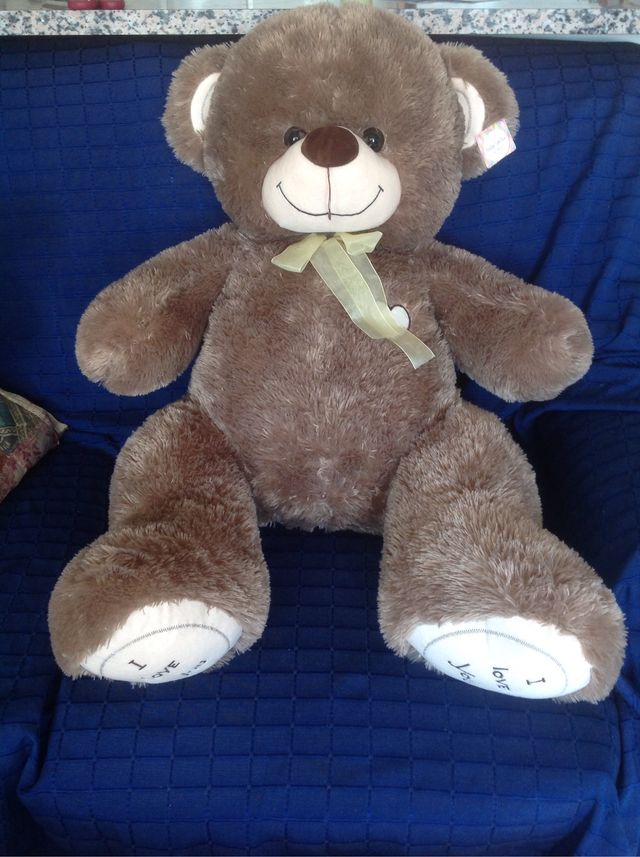 oso peluche