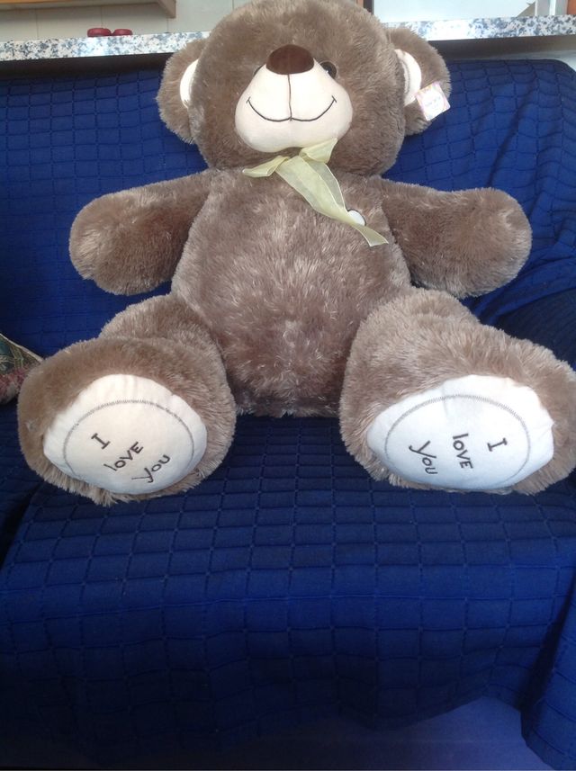 oso peluche
