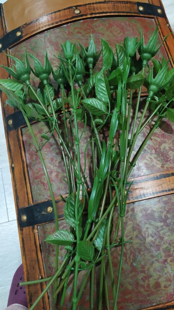 Tallos de rosas y claveles