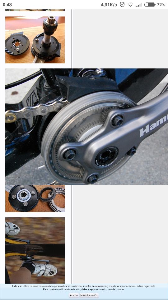 bielas hammerschmidt