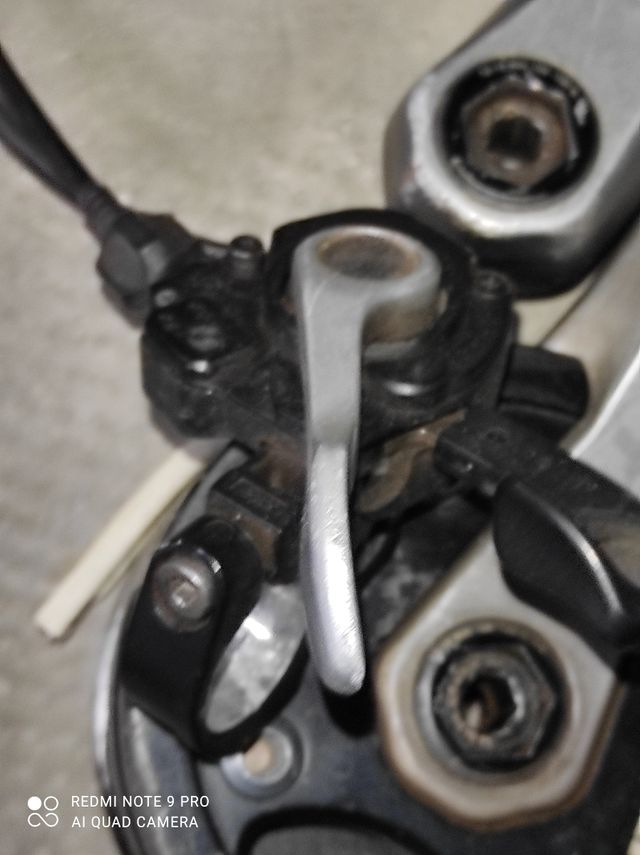 bielas hammerschmidt