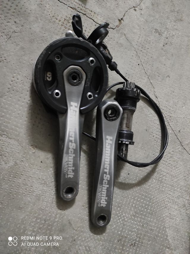 bielas hammerschmidt