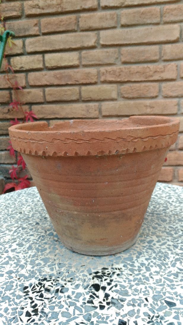 Macetero antiguo