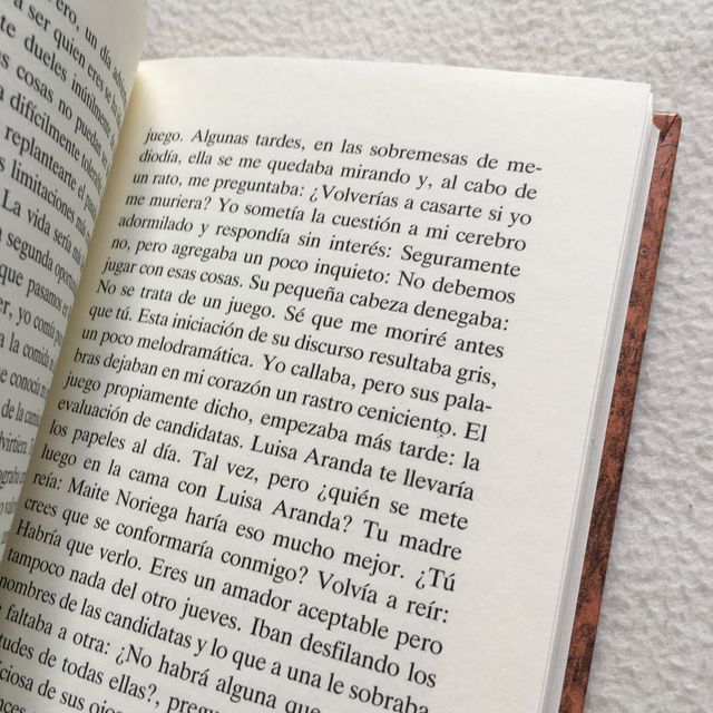 Señora de rojo sobre fondo gris - Miguel Delibes 