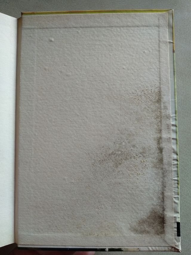 AVENTURA EN LA ISLA (Enid Blyton)