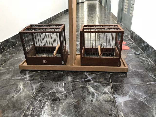 Jaulas para canario /gilgero