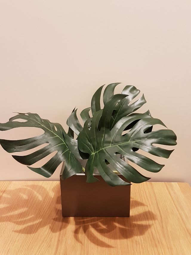 Soporte,elevador, peana, expositor, organizador