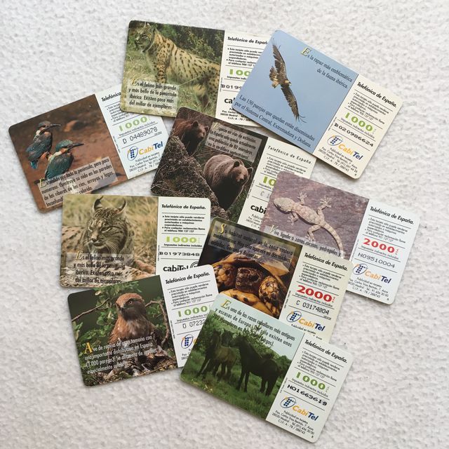 Lote de 19 tarjetas telefónicas variadas