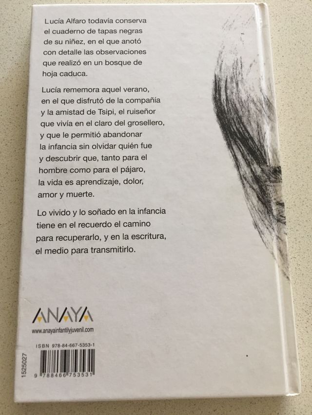 En un bosque de hoja caduca