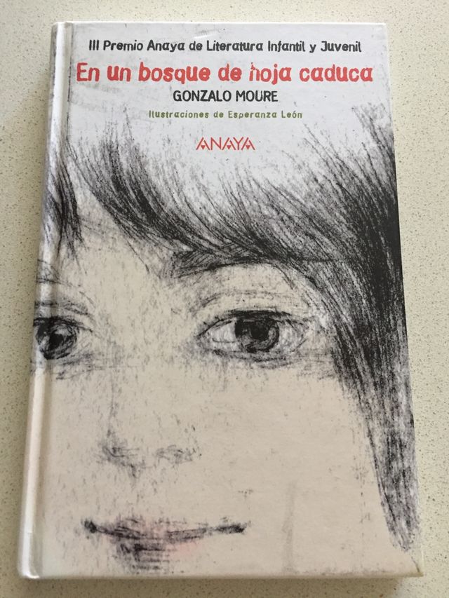 En un bosque de hoja caduca