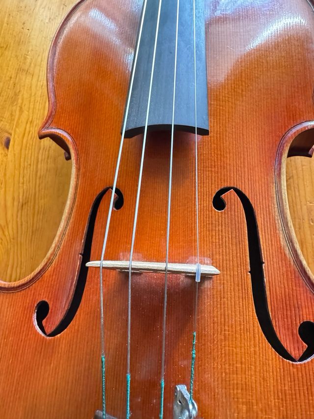 Viola 42 cm