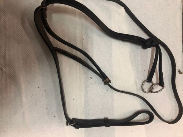 Tijeretas CABALLO hipica