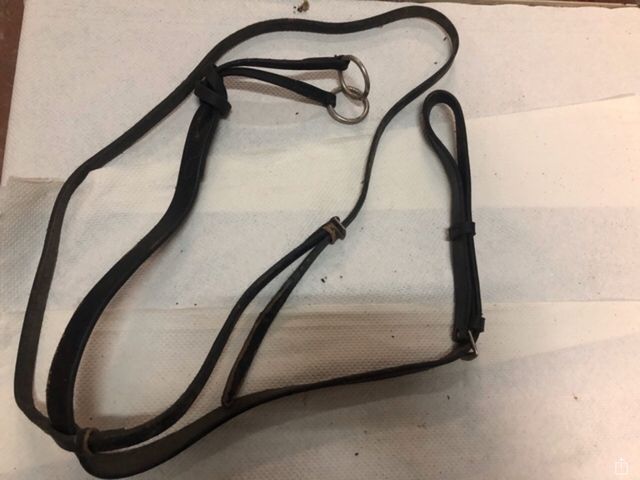 Tijeretas CABALLO hipica