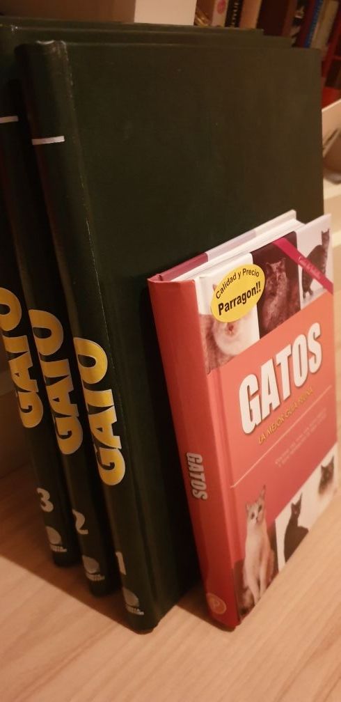 libros gatos