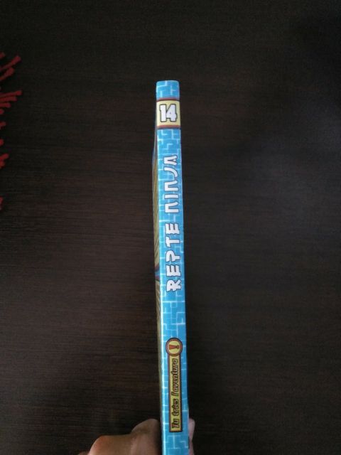 Tú tries l'aventura. Repte ninja.