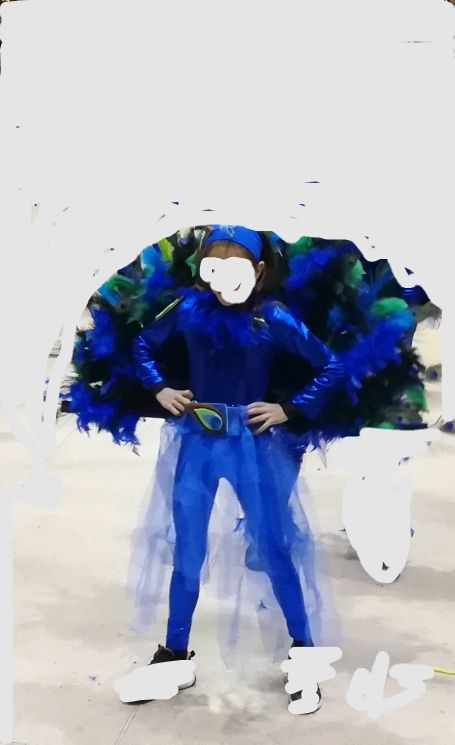 Disfraz carnaval niñ@s