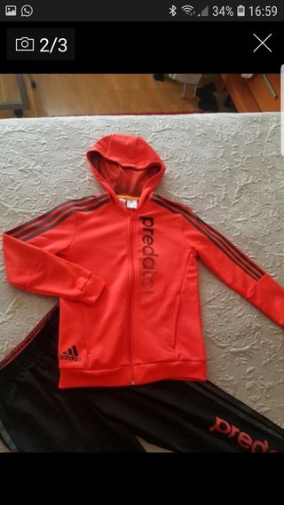 chandal adidas predator