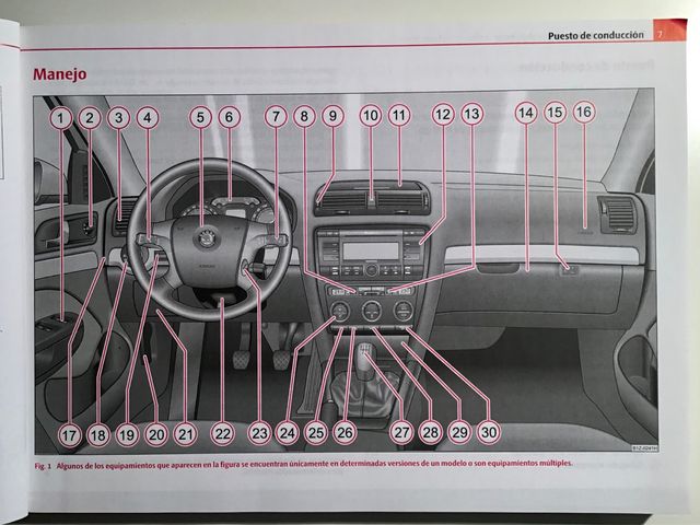 SKODA OCTAVIA 2007, MANUAL DE INSTRUCCIONES