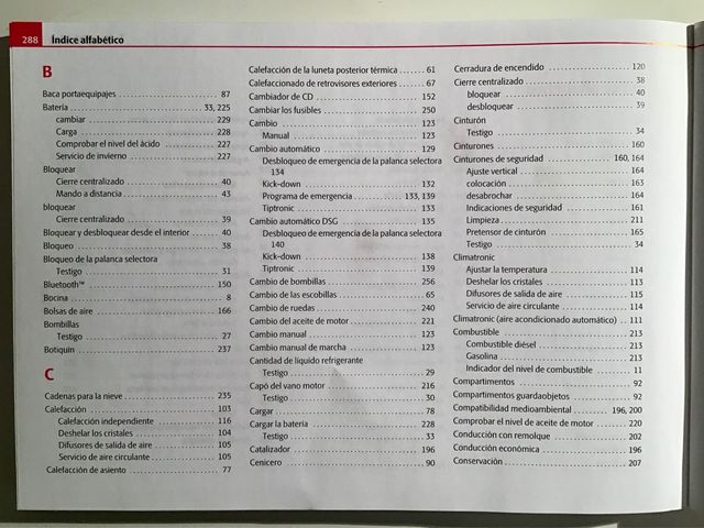 SKODA OCTAVIA 2007, MANUAL DE INSTRUCCIONES