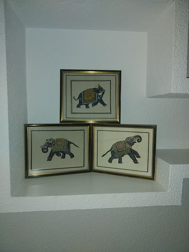 Conjunto de 3 cuadros elefantes.