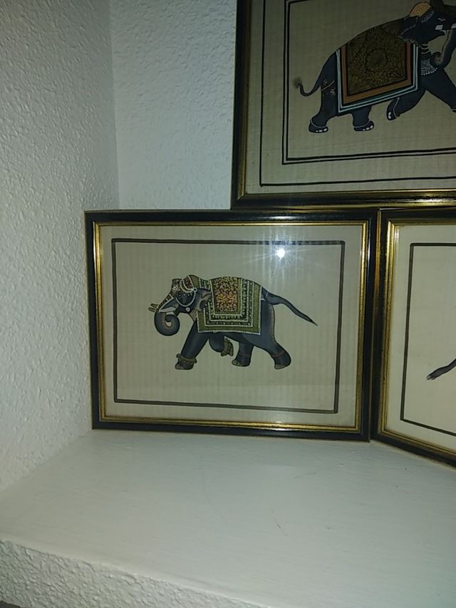 Conjunto de 3 cuadros elefantes.