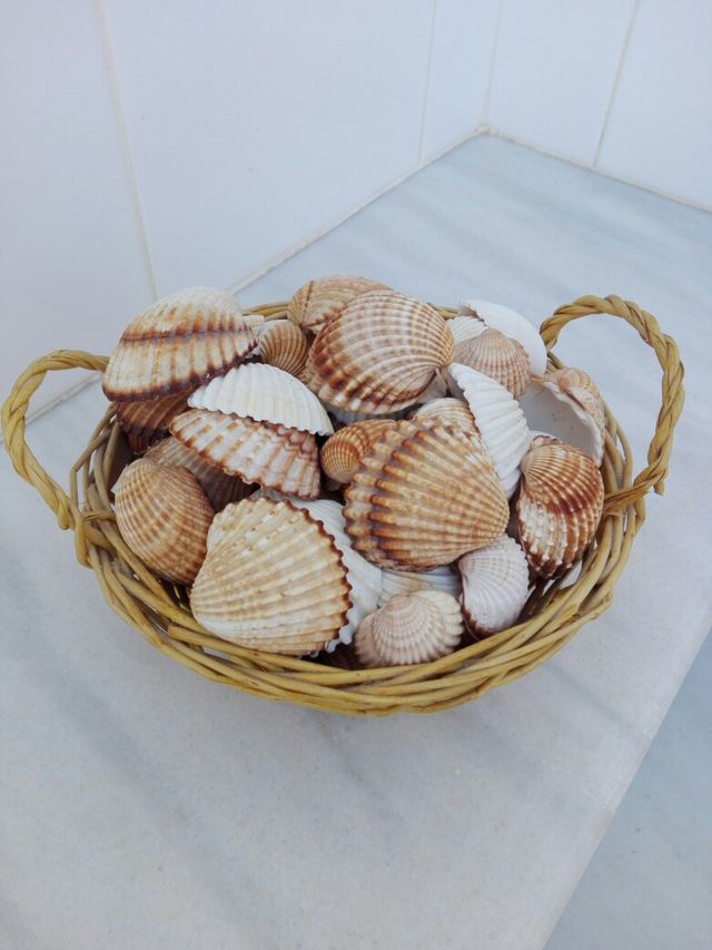 tres cestitas con conchas muy. bonitas