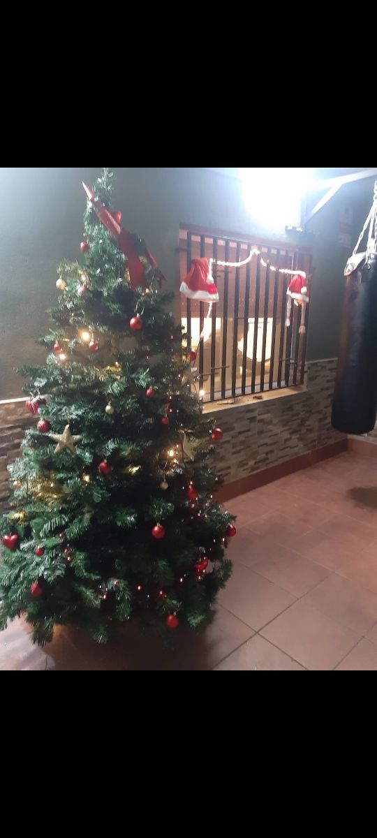 árbol navidad