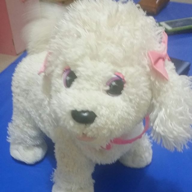 Perrita crece y crece