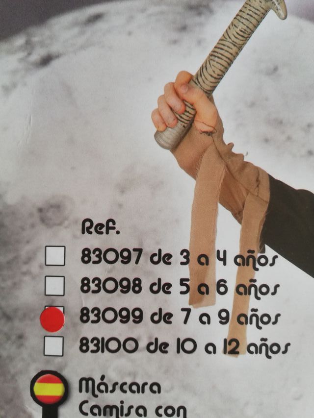 Disfraz de Ninja Zombie - Halloween