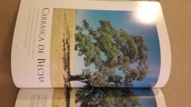 Árboles monumentales de España. Ecosistemas