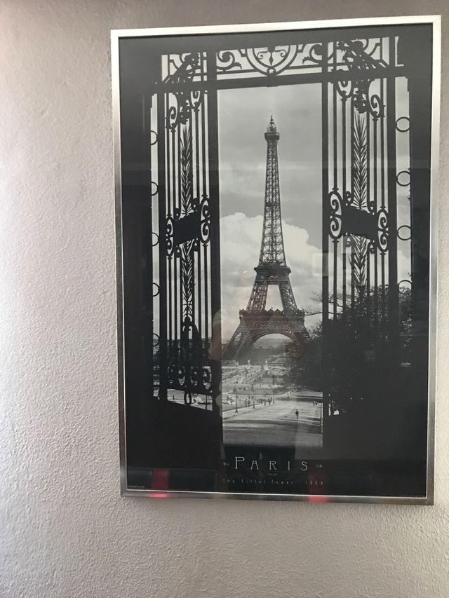 Vendo 2 láminas enmarcadas en color acero