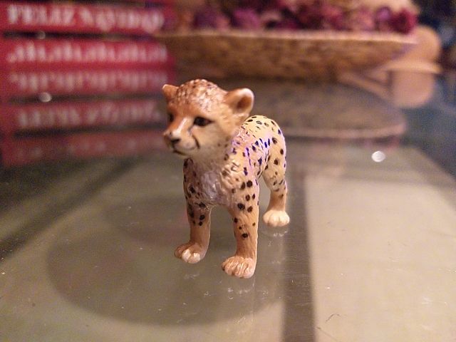 Tigres, leones, leopardos... schleich Germany
