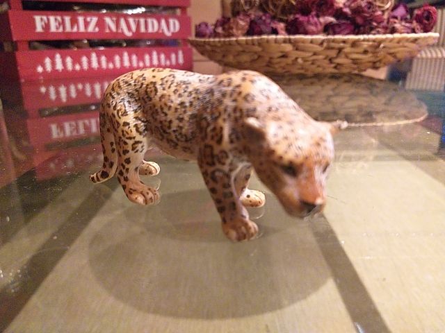 Tigres, leones, leopardos... schleich Germany