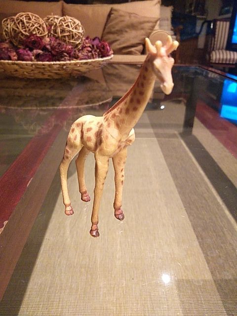 Animales Safari Ltd Miami