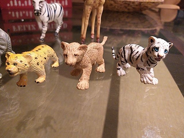 Animales Safari Ltd Miami