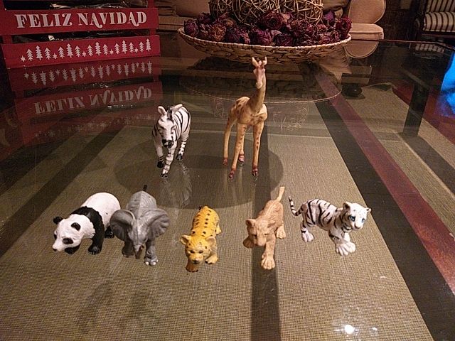 Animales Safari Ltd Miami