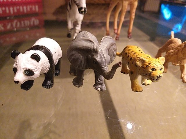 Animales Safari Ltd Miami