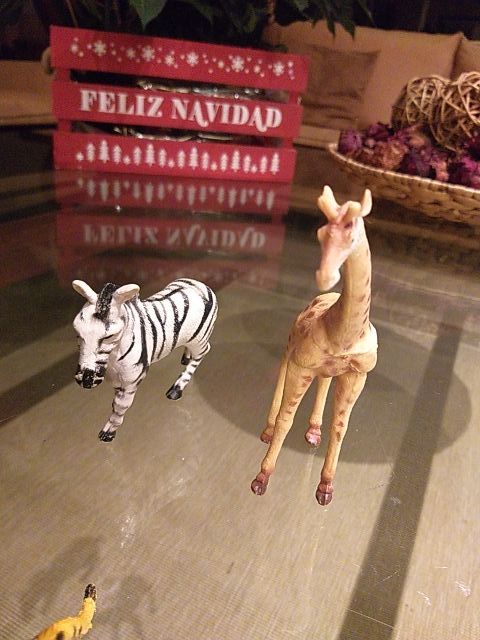 Animales Safari Ltd Miami