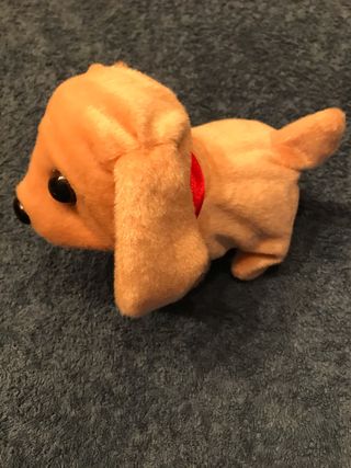 perrito andarin